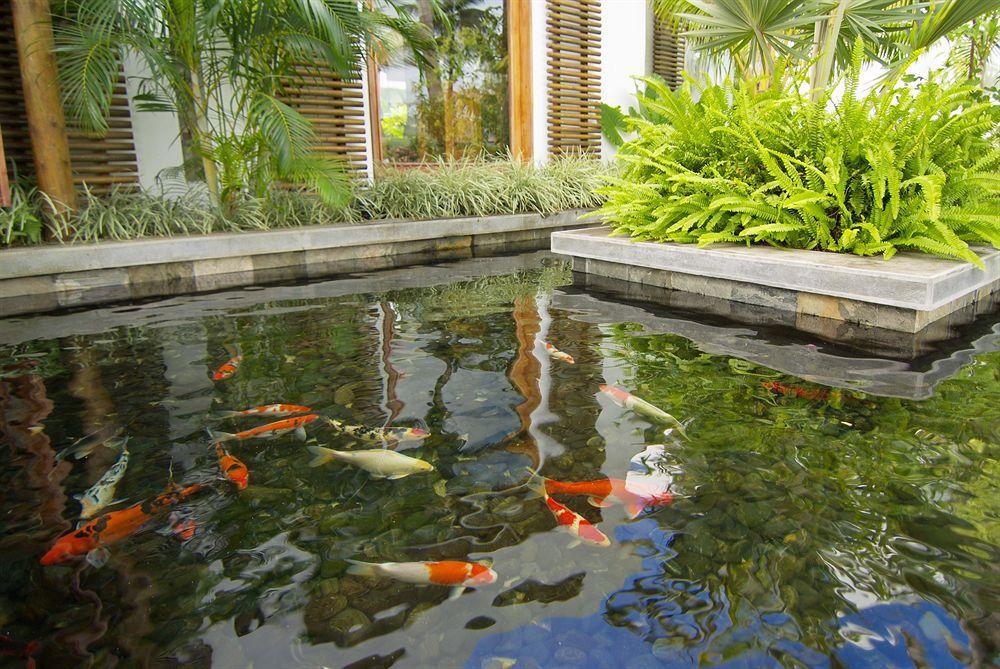 拉古纳海滩Spa酒店 Grand River South East 外观 照片